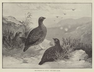 On İkinci Ağustos, İlk Alarm by Alexander Francis Lydon